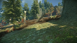 ���������꡼ No.017�Υ���ͥ������ / ����MMORPG��ELYON�ס����������Ԥǥץ쥤�䡼����°���뤳�Ȥˤʤ�2�����Ϥξ��󤬸���