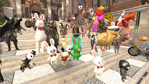 ꡼ No.062 | 뤳Ȥ¿롪 MMORPGELYONץץ쥪ץƥȤ˻äΤǡǤץ쥤ݡȤϤ