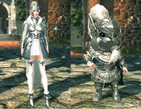 ꡼ No.004 | ELYONס饹ȥѥǥɤ6åץǡȤǼեХʤɤϿڡ󤬥