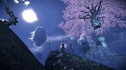 ꡼ No.035Υͥ / Υץ쥤ݡϡELYONפTERAפȤĤʤ롣TERAǤߤι٥󥸥ʤɤڤ륳ܥƥĤԥץ쥤