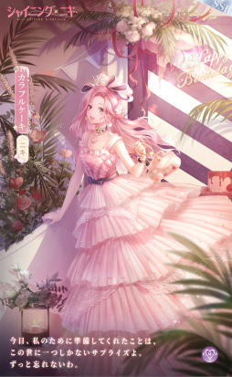 ꡼ No.003 | 夻ؤ֥˥ץ꡼10ǯǰ󥵡Ȥ123˥Хۿ