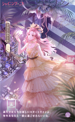 ꡼ No.004 | 夻ؤ֥˥ץ꡼10ǯǰ󥵡Ȥ123˥Хۿ