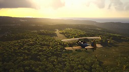 ꡼ No.006Υͥ / Ӵƹ祪ץɥХХSCUMסȥ쥤顼