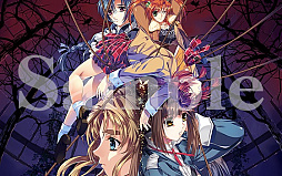 ꡼ No.011 | ӭ ơġץޥǤοǽȥ쥤顼