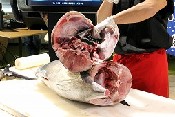 ꡼ No.012Υͥ / NHNϥ󥲡ΡRPGɥץ֥եå奢2פ27ۿͽꡣܥޥ⿶줿ץ쥹ȯɽݡ