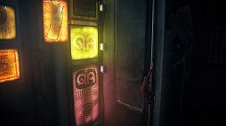 ꡼ No.008 | ֥㡼ƥå פɲåԥɤȤ֤Ťʤ顤ե륵Υܥ塼ǳڤäΥ꡼ǿ