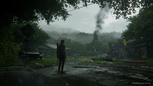 The Last of Us Part IIפΥץåϤ19ФĹ꡼ȥ票δطϤɤʤäƤΤ