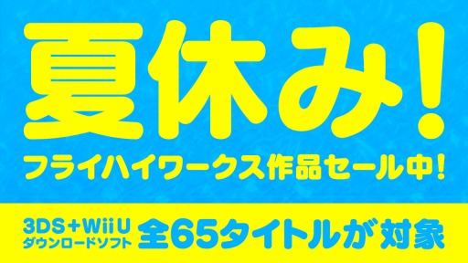 ꡼ No.004Υͥ / ե饤ϥ3DS/Wii U65ȥȾۥ곫