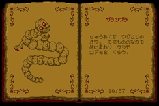 ꡼ No.010 | ƻ륢֥ޥǥƥ-ɥ󡦥ߥȼ줿-סۿ1216˷