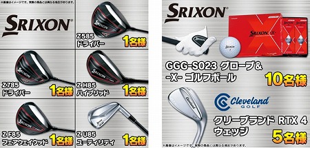 ꡼ No.003Υͥ / ֤ߤ󥴥סåפΥե֤ȤΥܥ٥Ȥ924