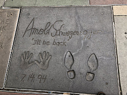 画像ギャラリー No.018のサムネイル画像 / マフィア梶田の二次元が来い!:第395回「ハリウッドを徘徊する小生意気な適合者」