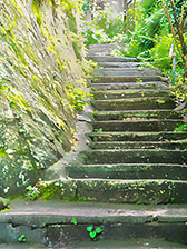 ꡼ No.041 | եɥοץ֥ȥߤΥפΥץ쥹ȯɽ񤬳šµǥOPࡼӡʤɤϪ줿٥Ȥݡ