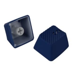 ꡼ No.006 | Cherry MXߴSHARKOONСåץåȤȯ