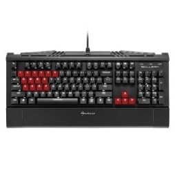 ꡼ No.008 | Cherry MXߴSHARKOONСåץåȤȯ