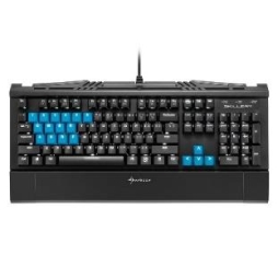 ꡼ No.009 | Cherry MXߴSHARKOONСåץåȤȯ