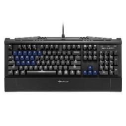 ꡼ No.010 | Cherry MXߴSHARKOONСåץåȤȯ