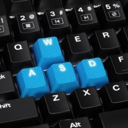 ꡼ No.013 | Cherry MXߴSHARKOONСåץåȤȯ