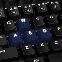 ꡼ No.014 | Cherry MXߴSHARKOONСåץåȤȯ