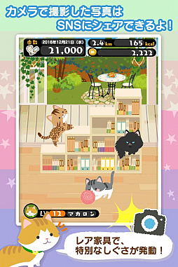 画像ギャラリー No.007のサムネイル画像 / 歩くだけでネコが育つゲームアプリ「にゃん歩計」の事前登録受付がスタート