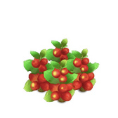 画像ギャラリー No.003のサムネイル画像 / アイテムが本物の商品となって届く,農場アプリ「テラファーマーズ」が発表