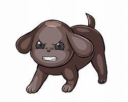 ꡼ No.008 | ֥ɥ饴󥨥åסRe:Ϥɥܤ