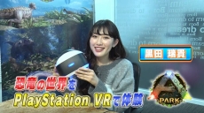 ꡼ No.006Υͥ / PS VRեȡARK PARKפξҲץ쥤ư褬ޥå륺Ŀ𵮤󤬶εδ