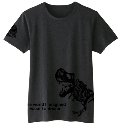 ꡼ No.006Υͥ / ARK ParkסشĤϢưTwitterڡ41˳