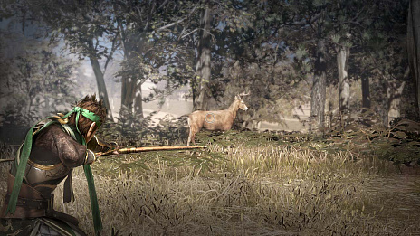 ���������꡼ No.001�Υ���ͥ������ / �ֿ�����Ԣ̵��8�פˤϿ��𾭤���٤��о졣ưʪ�μ��Ĥ�����Ʈ����ʿ���Ȥ��ä������Ǥγ��פ����