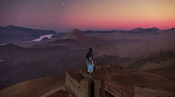 ���������꡼ No.006�Υ���ͥ������ / �ֿ�����Ԣ̵��8�ס������Ǥ��ɲä���̵�����åץǡ��Ȥ��»ܡ��֥ե��ȥ⡼�ɡפ�����̡פ��ɲá��Զ�罤���ʤ�