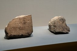 ���������꡼ No.005�Υ���ͥ������ / ����ʸ����ή��������40��ǯ��ǰ��������Ÿ�ֻ���֡פ��ݡ��ȡ��ǿ���ȯ���������̤�ֿ�����Ԣ̵�Сפ�Ÿ����