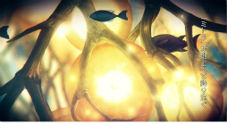 ���������꡼ No.002�Υ���ͥ������ / �֥ߥȥ饹�ե��� -MITRASPHERE-�פ������ѾҲ�PV��������������Ͽ50�����ˤˤĤ��ȳ����� 25�ġ�250�ġɤ����۷���