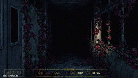 ���������꡼ No.012�Υ���ͥ������ / �ֻ���׿���ݥå�õ�������������������񸽾ݤʤɤ���Ͽ���줿��2��PV�����������ޤ��ޤʶ��ݤ������ܺ�Υ����ॷ���ƥ�����