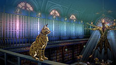 ꡼ No.002Υͥ / ֥᥿եե󥿥ס¼Ū˻ۤ񶵤κǹ⸢Ҽԥեǥ޿ɤξ륤饭󤬸