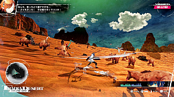 ꡼ No.007 | ᥿եե󥿥