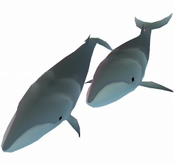 画像ギャラリー No.004のサムネイル画像 / 「アビスリウム」,新しい魚やキューピットが登場するバレンタインイベントを開催