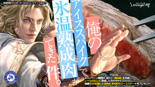 画像ギャラリー No.007のサムネイル画像 / 「Lineage M」,魔術師&銃士のクラスケアを含むアップデートを実施