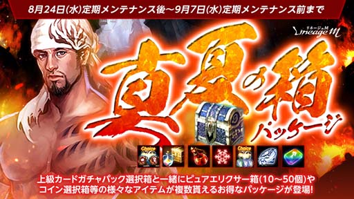 ꡼ No.009 | ֥͡Mס7Υ٥&ڡSummer Festival in ADEN6Ƥ