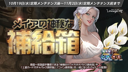 ꡼ No.006 | ֥͡Mסϥ󥤥٥ȡHALLOWEEN CARNIVALɥȡϢܷ٥Ȥѥåо