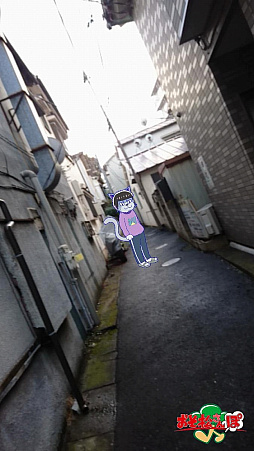 ꡼ No.011 | ֤ݡ6ĻҤɸƱ󤯤ΥͤǤȥϥɤʤɡॷƥξܺ٤ޤȤƤϤ