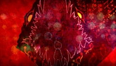 ꡼ No.040 | סǥ˻äо쥭ãʣǤȿʹִطҲ𡣡ɤ줿ʹ֤ϩ򥤥᡼PV