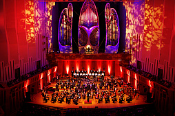 ꡼ No.007 | ֡ؿž25ǯ LAW SIDEפݡȡ ʻ䥢ȥ饹ɥबŤȲڤλפФ