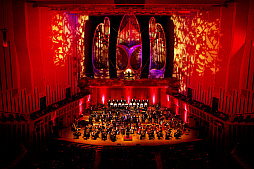 ꡼ No.008 | ֡ؿž25ǯ LAW SIDEפݡȡ ʻ䥢ȥ饹ɥबŤȲڤλפФ