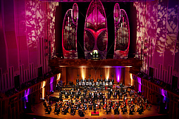 ꡼ No.017 | ֡ؿž25ǯ LAW SIDEפݡȡ ʻ䥢ȥ饹ɥबŤȲڤλפФ