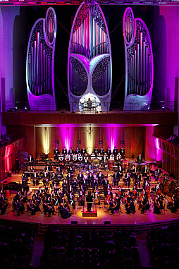 ꡼ No.025 | ֡ؿž25ǯ LAW SIDEפݡȡ ʻ䥢ȥ饹ɥबŤȲڤλפФ