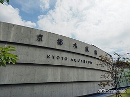 ���������꡼ No.001�Υ���ͥ������ / �֥��ץ�ȥ�����2�פȵ��Կ�²�ۤΥ���ܥ��٥�Ȥ������������ȡ��ƻҤǳڤ����֥��ץ�å��奿����פǲƤλפ��Ф�����