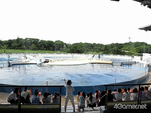 ���������꡼ No.008�Υ���ͥ������ / �֥��ץ�ȥ�����2�פȵ��Կ�²�ۤΥ���ܥ��٥�Ȥ������������ȡ��ƻҤǳڤ����֥��ץ�å��奿����פǲƤλפ��Ф�����