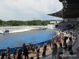 ���������꡼ No.011�Υ���ͥ������ / �֥��ץ�ȥ�����2�פȵ��Կ�²�ۤΥ���ܥ��٥�Ȥ������������ȡ��ƻҤǳڤ����֥��ץ�å��奿����פǲƤλפ��Ф�����