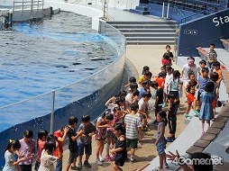 ���������꡼ No.012�Υ���ͥ������ / �֥��ץ�ȥ�����2�פȵ��Կ�²�ۤΥ���ܥ��٥�Ȥ������������ȡ��ƻҤǳڤ����֥��ץ�å��奿����פǲƤλפ��Ф�����