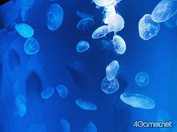 ���������꡼ No.031�Υ���ͥ������ / �֥��ץ�ȥ�����2�פȵ��Կ�²�ۤΥ���ܥ��٥�Ȥ������������ȡ��ƻҤǳڤ����֥��ץ�å��奿����פǲƤλפ��Ф�����