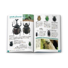 ꡼ No.019Υͥ / ֥ץȥ2פΤ̤골5郎ϥåԡåȤ614о졣ïǤñ˥餬륹ƥ󥷥륷դ